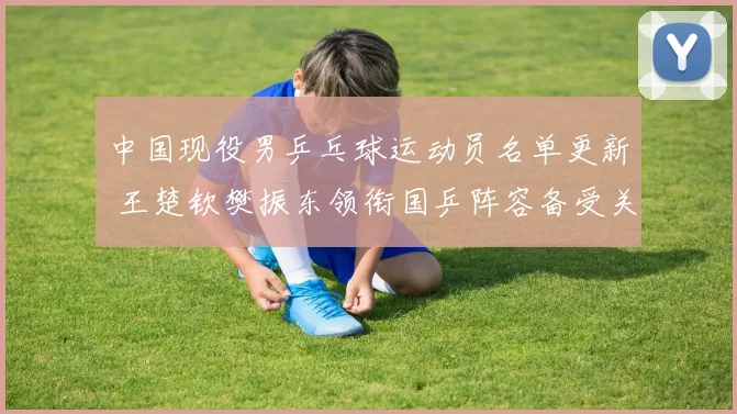 中国现役男乒乓球运动员名单更新 王楚钦樊振东领衔国乒阵容备受关注