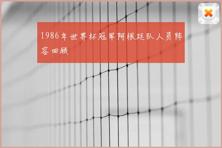 1986年世界杯冠军阿根廷队人员阵容回顾