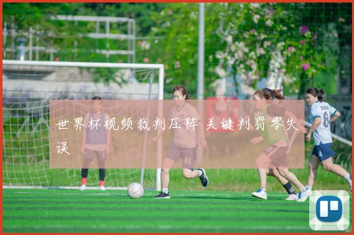 世界杯视频裁判压阵 关键判罚零失误