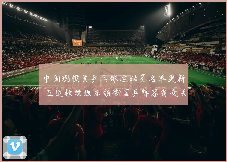 中国现役男乒乓球运动员名单更新 王楚钦樊振东领衔国乒阵容备受关注