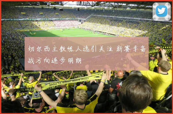 切尔西主教练人选引关注 新赛季备战方向逐步明朗
