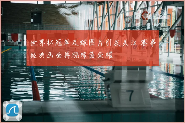 世界杯冠军足球图片引发关注 赛事经典画面再现绿茵荣耀