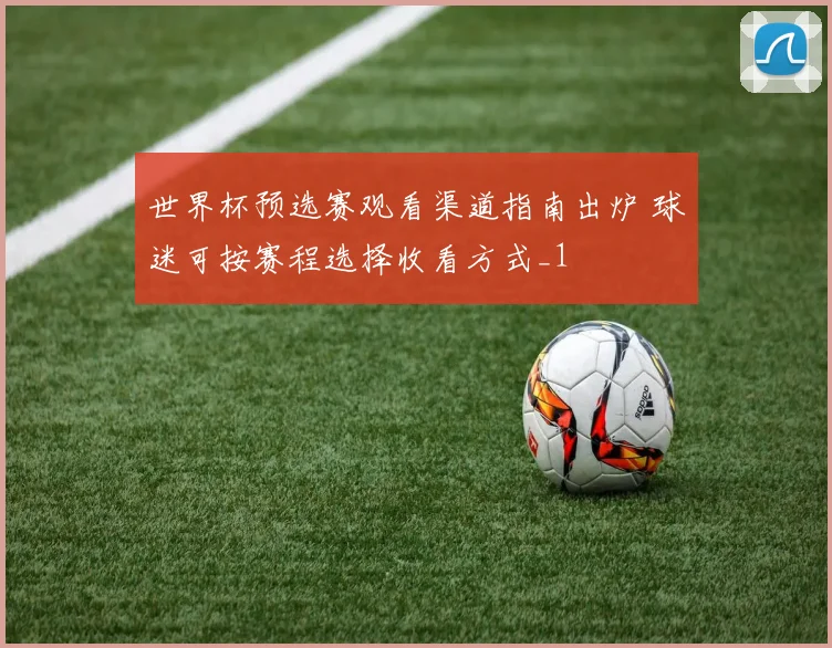 世界杯预选赛观看渠道指南出炉 球迷可按赛程选择收看方式_1