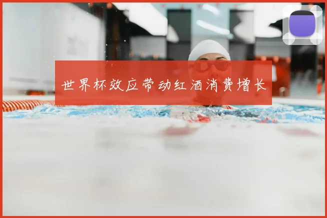 世界杯效应带动红酒消费增长
